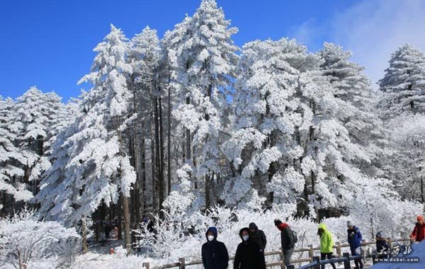 黄山新春首降瑞雪