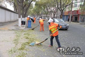 西固800多名环卫工走上辖区大街小巷清理落叶