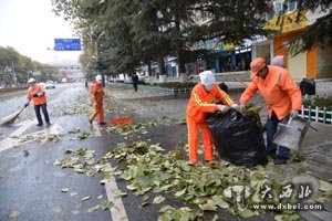 西固800多名环卫工走上辖区大街小巷清理落叶