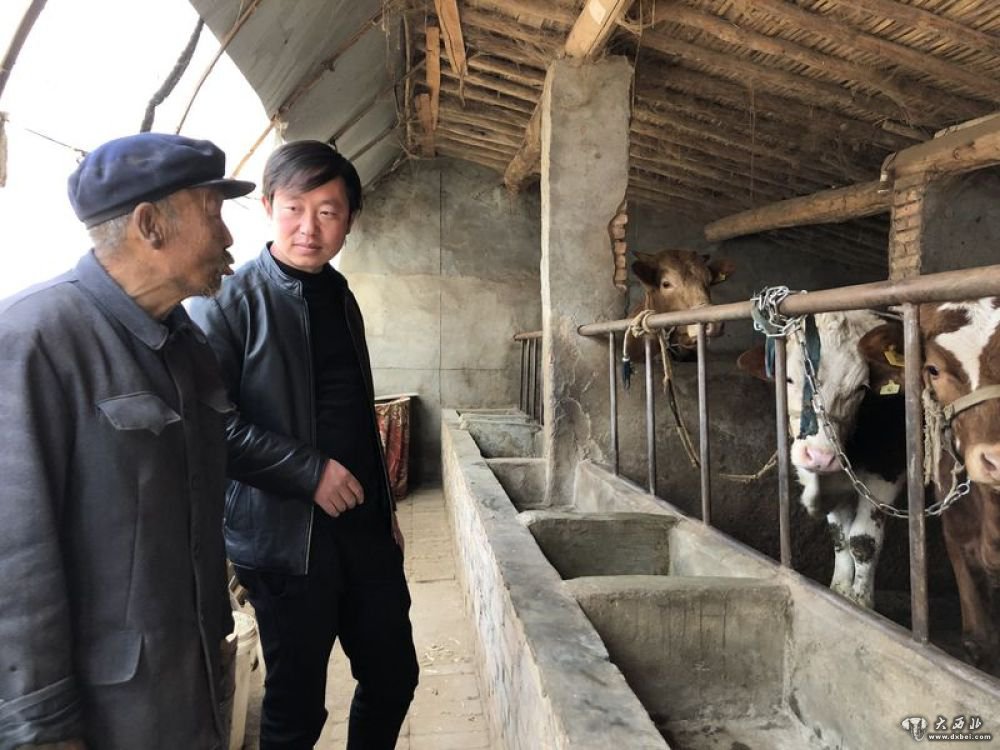 甘肃省定西市通渭县马