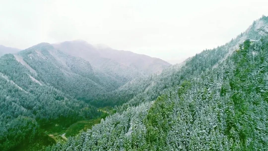 榆中兴隆山春景美如画