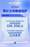 国家审计：2023年度“经